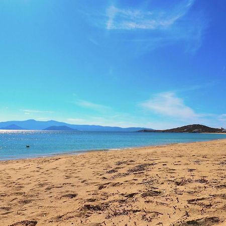 Beach Apartment Thalia With Hot Tub And Sea View Агиос Прокопиос Екстериор снимка